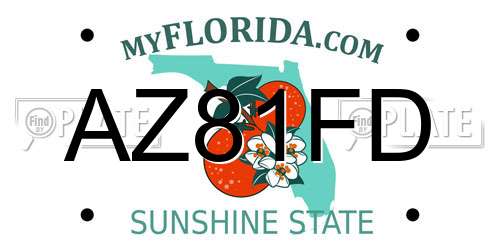 AZ81FD Florida License Plate