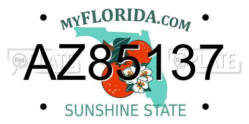 AZ85137 Florida License Plate