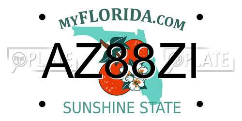 AZ88ZI Florida License Plate