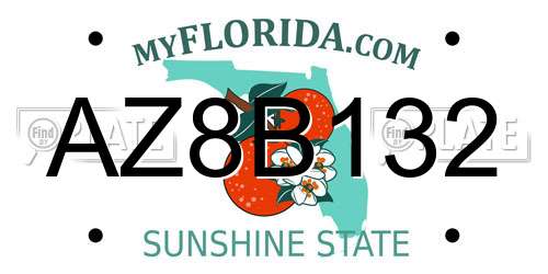 AZ8B132 Florida License Plate