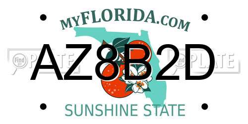 AZ8B2D Florida License Plate