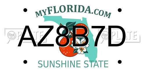 AZ8B7D Florida License Plate