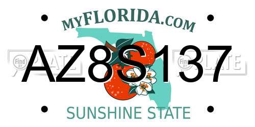 AZ8S137 Florida License Plate