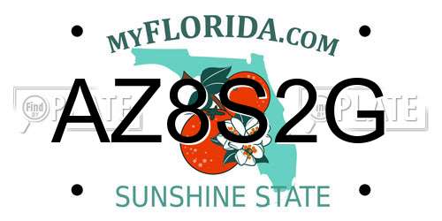 AZ8S2G Florida License Plate