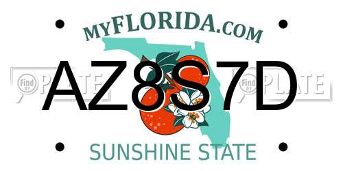 AZ8S7D Florida License Plate