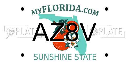 AZ8V Florida License Plate