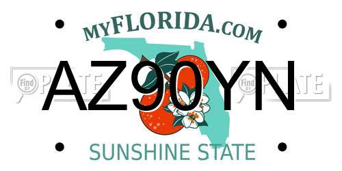 AZ90YN Florida License Plate
