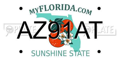 AZ91AT Florida License Plate