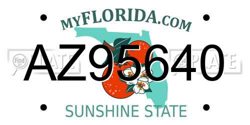 AZ95640 Florida License Plate