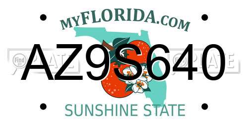 AZ9S640 Florida License Plate