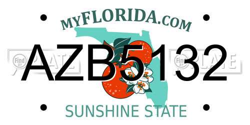 AZB5132 Florida License Plate