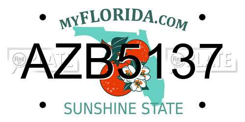 AZB5137 Florida License Plate