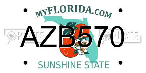AZB570 Florida License Plate