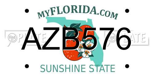 AZB576 Florida License Plate