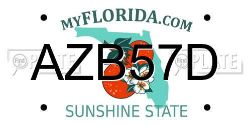 AZB57D Florida License Plate