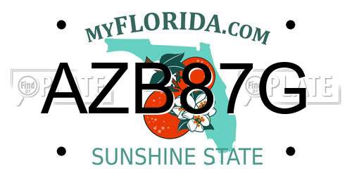 AZB87G Florida License Plate