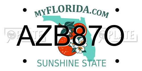 AZB87O Florida License Plate