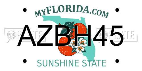 AZBH45 Florida License Plate