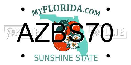 AZBS70 Florida License Plate