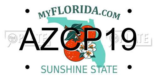 AZCP19 Florida License Plate