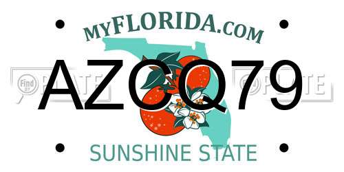 AZCQ79 Florida License Plate
