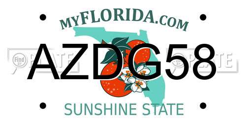 AZDG58 Florida License Plate