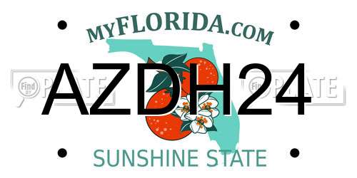 AZDH24 Florida License Plate