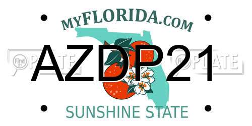 AZDP21 Florida License Plate