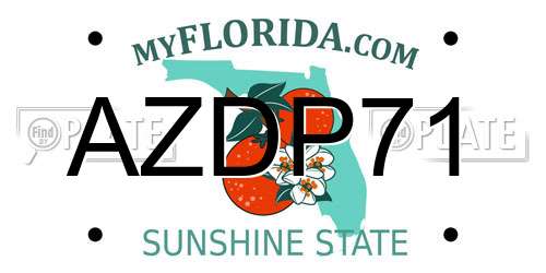 AZDP71 Florida License Plate