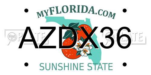 AZDX36 Florida License Plate