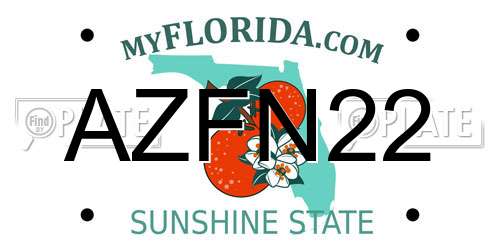 AZFN22 Florida License Plate