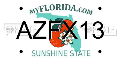 AZFX13 Florida License Plate