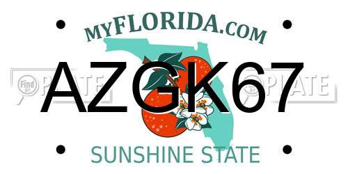 AZGK67 Florida License Plate