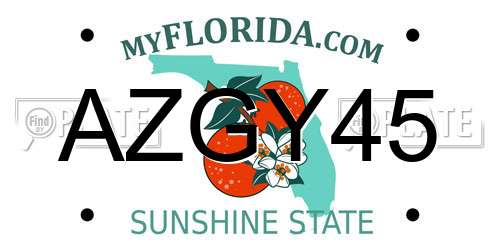 AZGY45 Florida License Plate