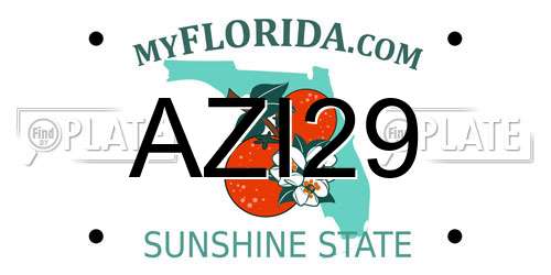 AZI29 Florida License Plate