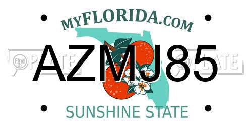 AZMJ85 Florida License Plate