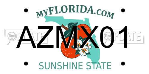 AZMX01 Florida License Plate