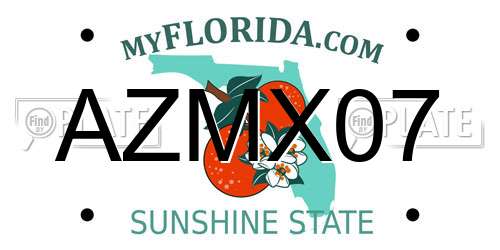AZMX07 Florida License Plate