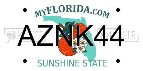 AZNK44 Florida License Plate