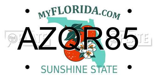 AZQR85 Florida License Plate