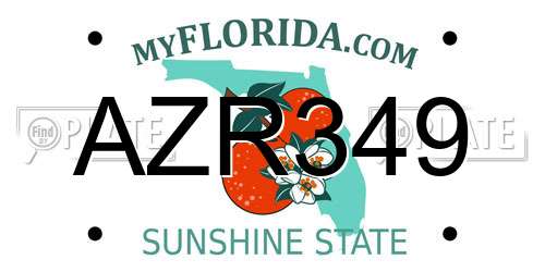 AZR349 Florida License Plate