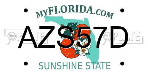 AZS57D Florida License Plate