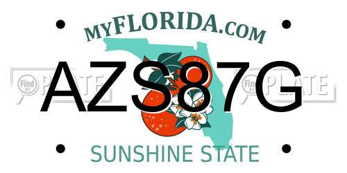 AZS87G Florida License Plate