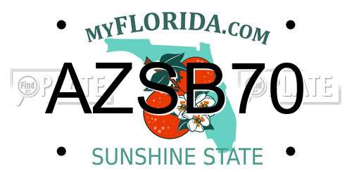AZSB70 Florida License Plate