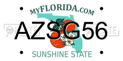 AZSG56 Florida License Plate