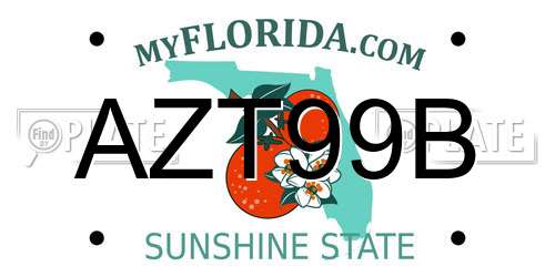 AZT99B Florida License Plate
