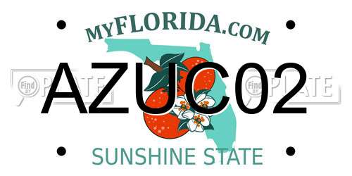 AZUC02 Florida License Plate