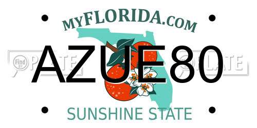 AZUE80 Florida License Plate
