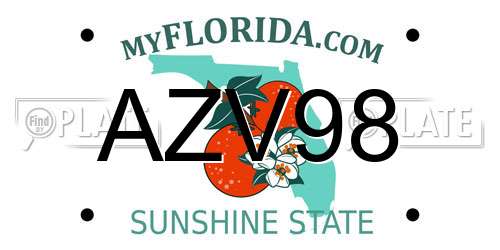 AZV98 Florida License Plate