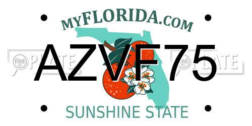 AZVF75 Florida License Plate